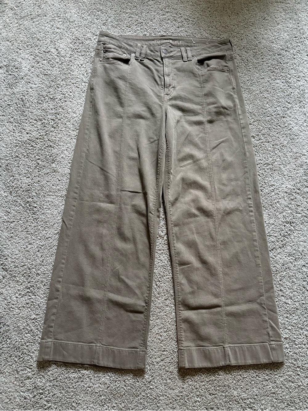 American Eagle Low Rise Baggy Wide Leg Green Pants Jeans Womens Size 12 Stretch
